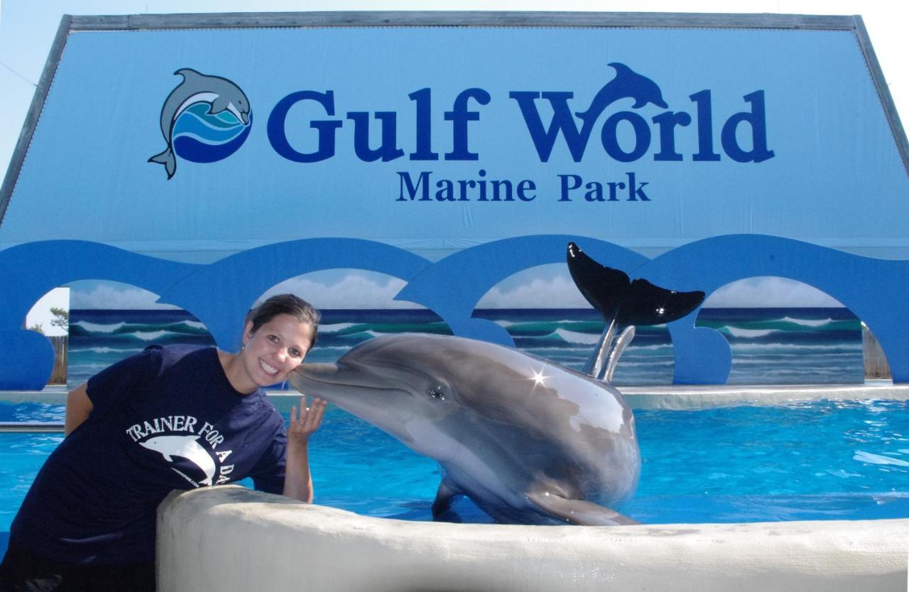 Sterling Reef 1006 By Realjoy Vacations Aparthotel Panama City Beach Eksteriør bilde